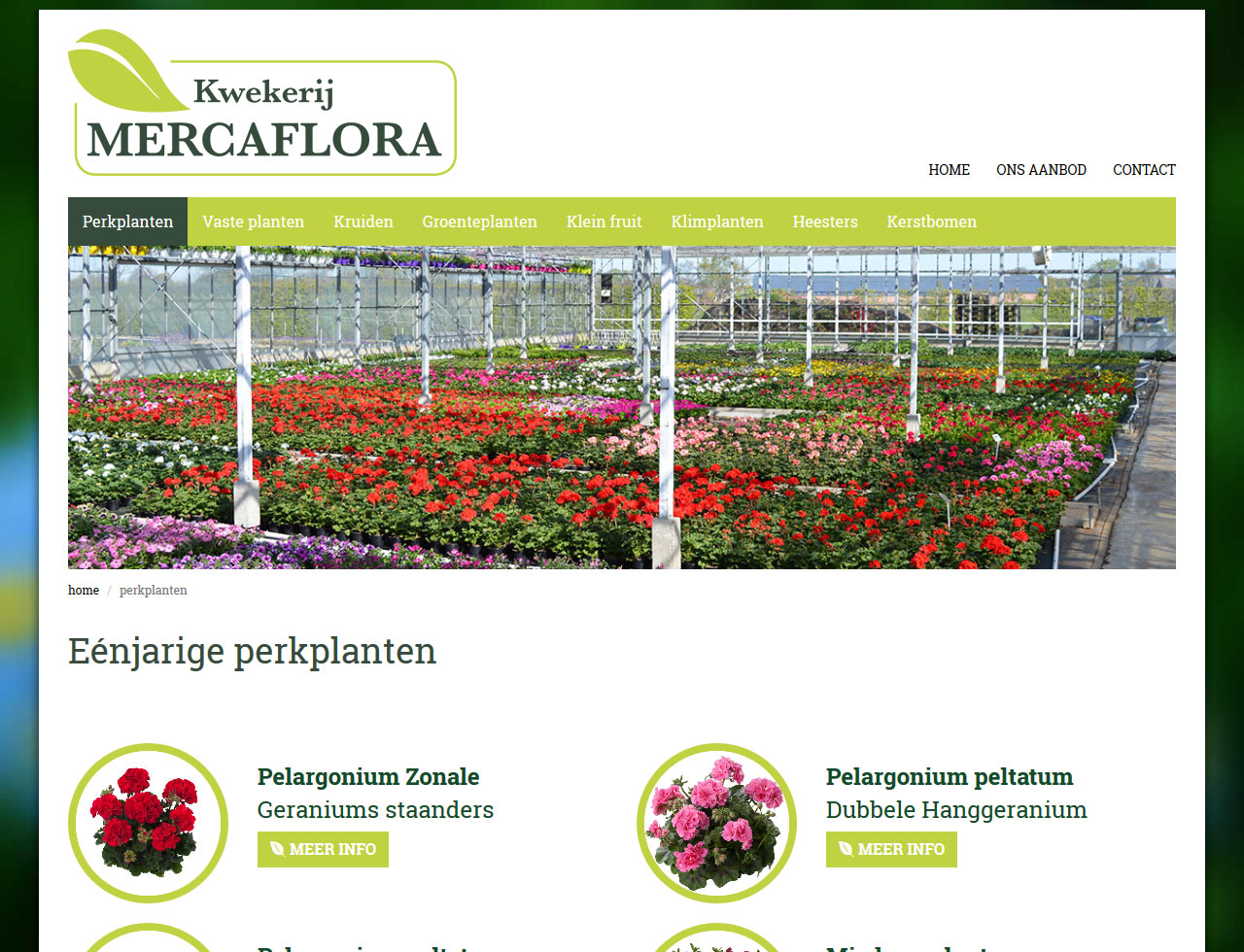 Plantenkwekerij Mercaflora